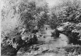 62 SAINT POL SUR TERNOISE LES BORDS DE LA TERNOISE - Saint Pol Sur Ternoise