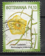 Delcampe - BOTSWANA / Oblitérés / Used / 2011 - Fleurs - Botswana (1966-...)