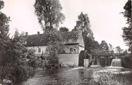 62-SAINT POL SUR TERNOISE-N°TB3581-E/0187 - Saint Pol Sur Ternoise