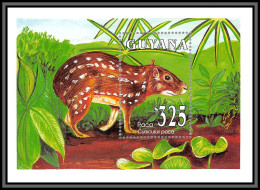 80918 Guyana Mi BF N°245 Y&t 117 Cuniculus Paca Rongeur TB Neuf ** MNH Animaux Animals 1993 - Roedores