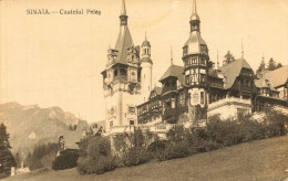 Sinaia , Romania * Carte Photo * Castelul Peles * Roman Roumanie - Romania