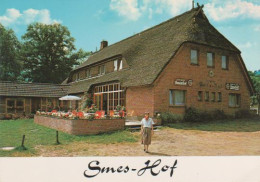 Y1562 - Undeloh - In Der Lüneburger Heide - Ca. 1980 - Lüneburger Heide
