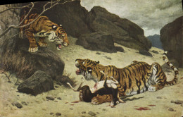 CPA Tigres Tigre G Rotig Salon De Paris - Tigri