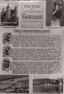 Y137512 - Bad Säckingen - Mit Trompeterlied - Bad Säckingen