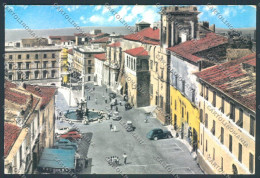 Viterbo Tarquinia Foto FG Cartolina ZF8581 - Viterbo
