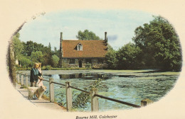 ANGLETERRE Bourne Mill Colchester 1979 - Colchester