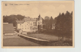 Ciney Château Et Ferme De La Haute - Ciney