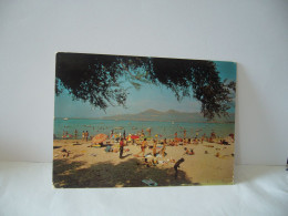Delcampe - LA CORSE ILE DE BEAUTE CALVI 20 2B HAUTE CORSE LA PLAGE ET LE GOLFE CPM THEME PLAGE - Calvi