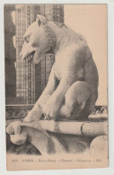 Delcampe - Paris, Notre Dame, Chimere, Chimaera - Kirchen