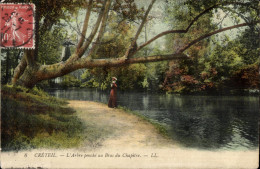 CPA Creteil L Arbre Penche Au Bras Du Chapitre - Creteil
