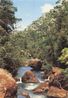 84 FONTAINE DE VAUCLUSE SITE IMMORTALISE PAR PETRARQUE - Sonstige & Ohne Zuordnung