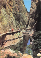 66 AMELIE LES BAINS PALALDA LES GORGES DU MONDONY - Amélie-les-Bains-Palalda