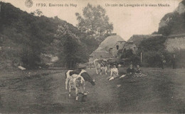 Environs De Huy - Un Coin De Lovegnée Et Le Vieux Moulin - Animée - G.Hermans - 2 Scans - Huy