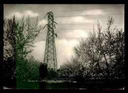 ITALIE - GRUPPO MERIDIONALE DI ELETTRICITA -  LINEA 150 KV SILA-PUGLIE - Other & Unclassified