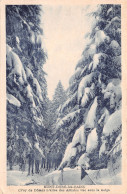 63-MONT DORE LES BAINS-N°T1181-C/0013 - Sonstige & Ohne Zuordnung