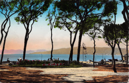 06-JUAN LES PINS-N°T1181-B/0203 - Juan-les-Pins