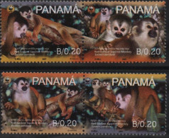 Panama Animaux , Animals : Singes , Monkeys 2007 XXX - Panama