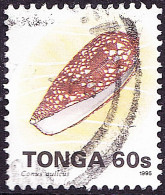 TONGA 1992 QEII 60s Multicoloured, Marine Life-Conus Aulicus Sc805 Used - Tonga (1970-...)