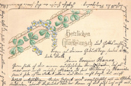 B251 Luck Greetings Allegoric Horseshoe Of Flowers Shamrock Embossed Postcard - Sonstige & Ohne Zuordnung