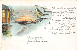 B251 Winter Scene 1900 Song Bird Trills Snow Landscape Houses Postcard - Sonstige & Ohne Zuordnung