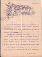 1924-Brescia Fratelli Chizzolini Lettera Pubblicitaria Con Bella Intestazione Gr - Historical Documents