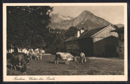AK Fischen / Allgäu, Unter Der Linde, Kühe, Bauernhäuser, Alpenpanorama - Fischen