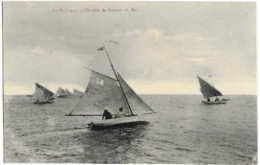 CPA 11 AUDE LA NOUVELLE FLOTILLE DE BATEAUX EN MER 1910 - Port La Nouvelle