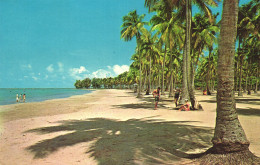 PUERTO RICO, LUQUILLO BEACH, PALM TREES, RESORT, POSTCARD, ANTILLES - Puerto Rico