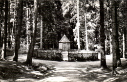 CPA Mortagne Au Perche Ses Environs - Mortagne Au Perche