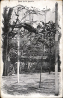 CPA Athletisme Saut De La Perche - Athletics