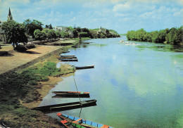 49 CHALONNES SUR LOIRE LA LOIRE VERS L EGLISE NOTRE DAME ET LES TERRAS - Chalonnes Sur Loire