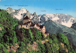 LIECHTENSTEIN VADUZ CHATEAU DE VADUZ - Liechtenstein