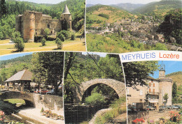 48 MEYRUEIS GORGES DE LA JONTE - Meyrueis