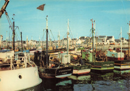 29 LE GUILVINEC LES BATEAUX DE PECHE DANS LE PORT - Guilvinec