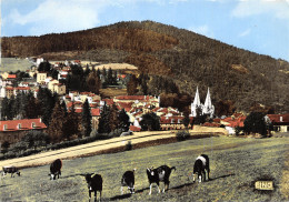 07-LA LOUVESC-N°T260-B/0393 - La Louvesc
