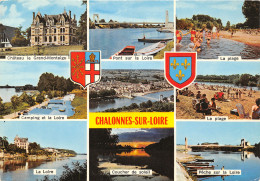 49-CHALONNES SUR LOIRE-N°T267-A/0139 - Chalonnes Sur Loire