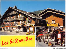 AEWP9-74-0705 - Hôtel Les Soldanelles - Restaurant - Spécialités Savoyardes - Saisons - été - Hiver - CHATEL - Châtel