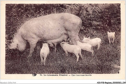 AIXP10-REGIONS-0995 - Le Limousin Illusté - Une Heureuse Famille - Limousin