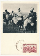 AOF => Carte Maximum Publicitaire IONYL - Sénégal - Transport D'arachides à Dos D'ânes - DAKAR PHILATELIE 3/3/1952 - Lettres & Documents