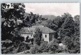50709258 - Wittlich - Wittlich