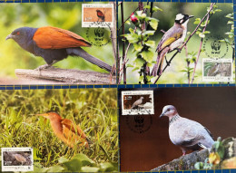 MACAU MAXIMUM POST CARDS SET OF 4- 50 ANNIVERSARY OF WWF - Macao