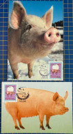 MACAU MAXIMUM POST CARDS SET OF 2 - LUNAR NEW YEAR OF THE PIG - Macao