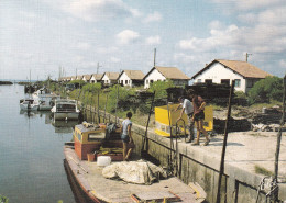 ARES  Le Port - Arès