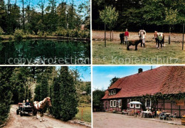 Harber Moor Urlaub Auf Dem Bauernhof Pension Willenbockel Ponys Ponykutsche Teic - Soltau