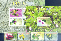 Flora. Orchidee 2009. - Papua New Guinea
