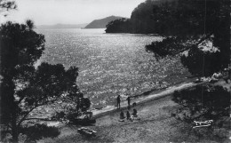CPSM Environ Du Lavandou-Le Canadel-Coucher De Soleil   L4091 - Le Lavandou