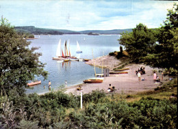 CPM Vassiviere Vue Sur Le Lac - Limousin