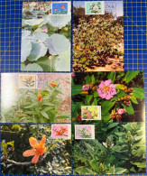 MACAU MAXIMUM POST CARDS LOT OF 6 - MEDICINAL PLANTS OF MACAU - Macao