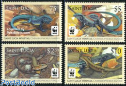 Saint Lucia 2008 WWF, Cnemidophorus Vanzoi 4v, Mint NH, Nature - Reptiles - World Wildlife Fund (WWF) - St.Lucia (1979-...)