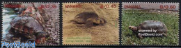 Panama 1990 Turtles 3v, Mint NH, Nature - Reptiles - Turtles - Panama